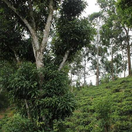 Rustle Hill Home Stay-Ella Esterno foto