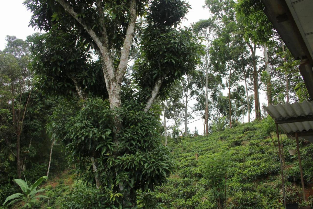 Rustle Hill Home Stay-Ella Esterno foto